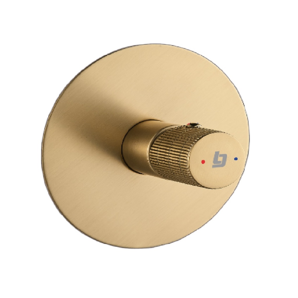 GRIFERIA DUCHA MONOMANDO SLOTT GOLDEN BRUSHED / CEPILLADO / SATINADO REF. GRI-2219 MARCA BELT-G