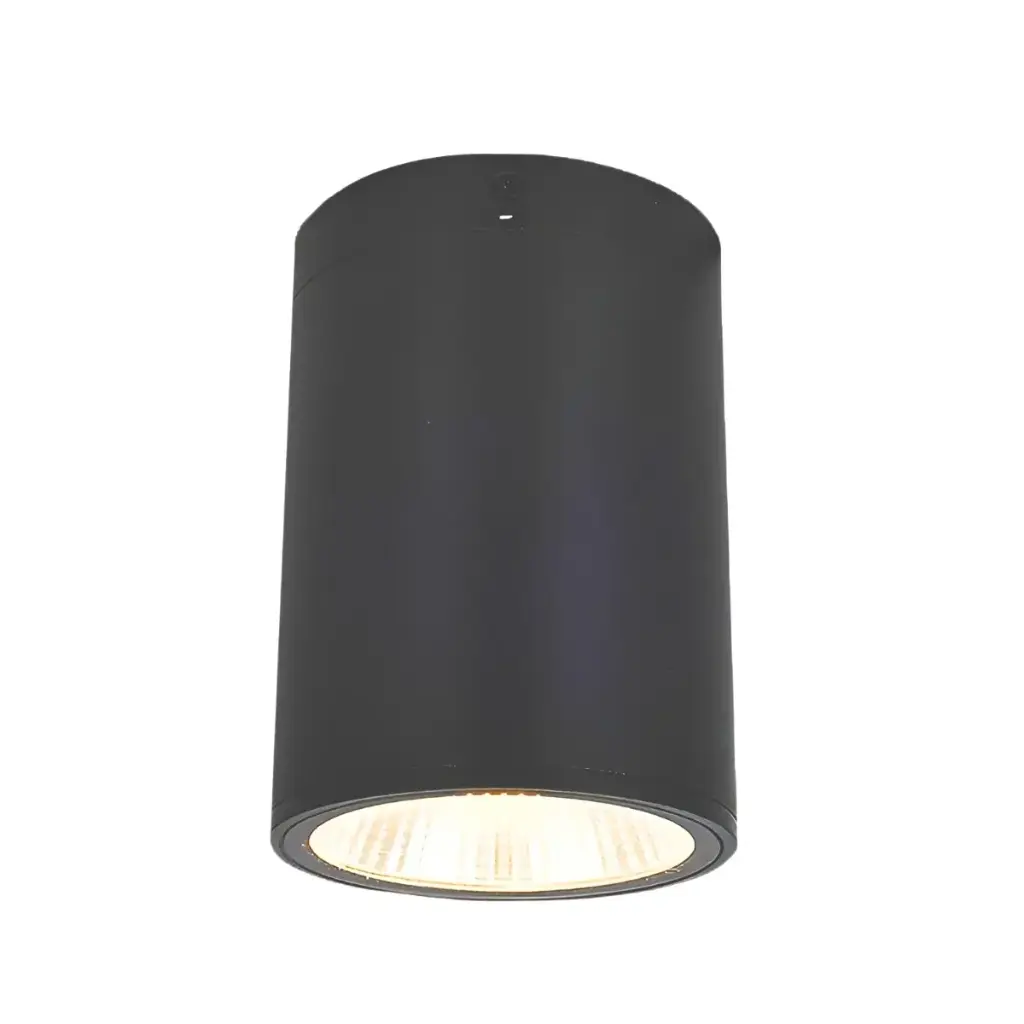 APLIQUE DE TECHO LED INTEGRADO 15W 3CCT C/SELECTOR 85-265V 1350LM IP65 SUPERFICIAL CILINDRO C/GRIS OSCURO REF. JOB15 MARCA ILUMINAK