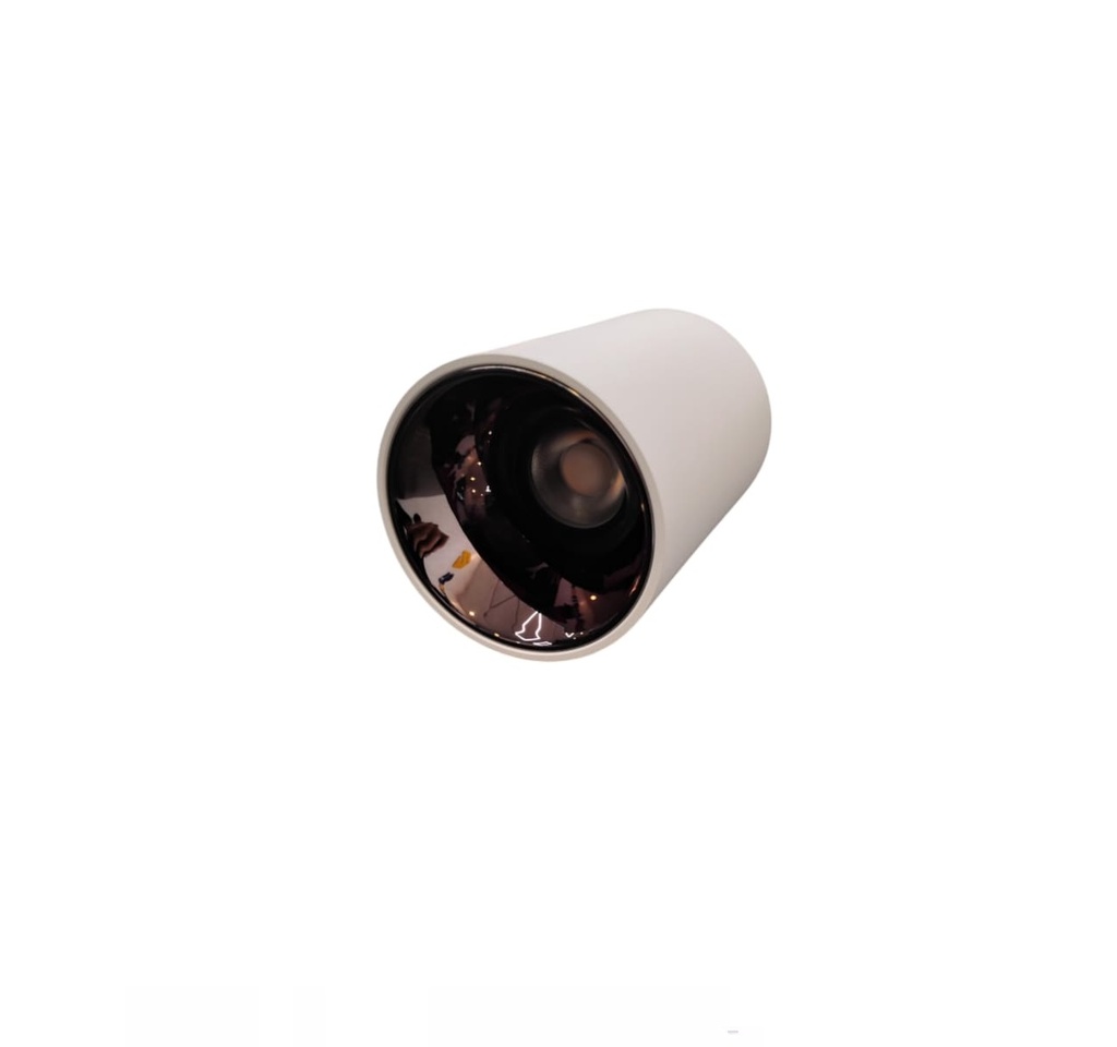 APLIQUE LED INTEGRADO REDONDO P/TECHO SUPERFICIAL 12W 36° 3000K IP65 BLANCO REF.LS12C-DYB LUXOLAR