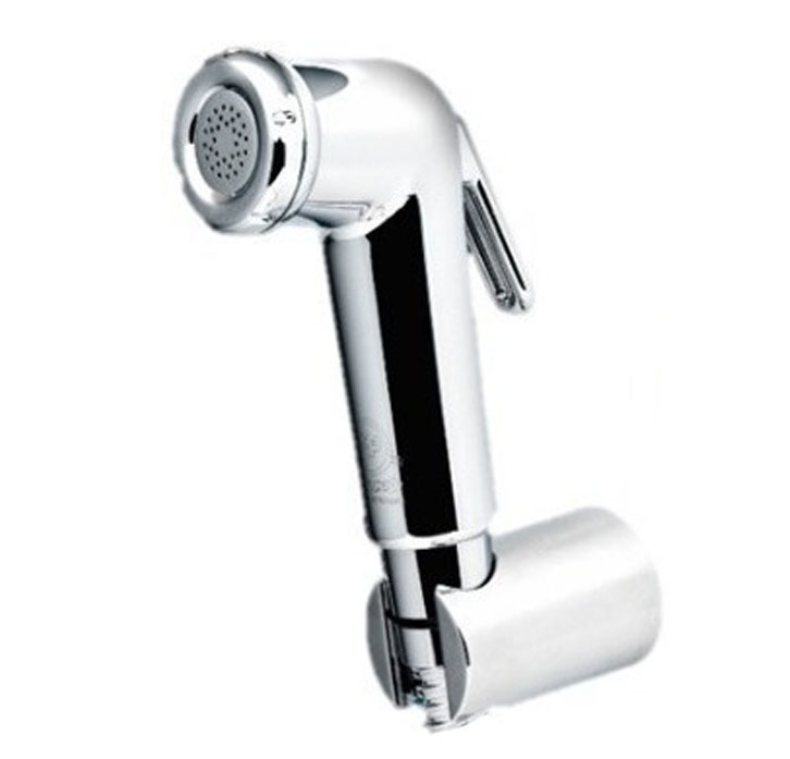 DUCHA TELEFONO SOLO CABEZAL C/BASE SIN CANILLA SERIE LEGEND CROMADO REF. 35ACC213B MARCA FP