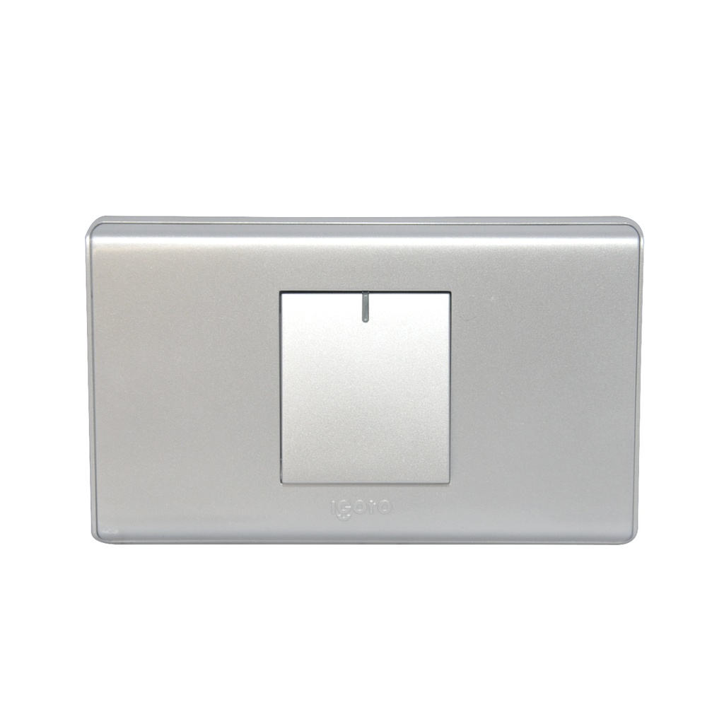 INTERRUPTOR SENCILLO COLOR PLATEADO REF. A2012-S MARCA IGOTO
