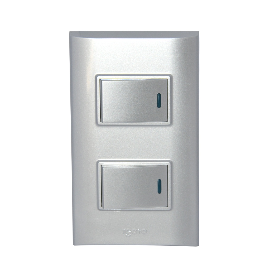 INTERRUPTOR DOBLE LARGO COLOR PLATEADO REF. B514-S MARCA IGOTO