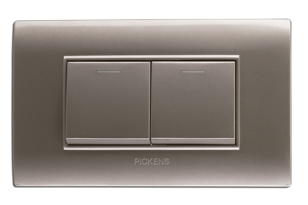 INTERRUPTOR DOBLE COLOR PLATA REF. PL-118K-02 MARCA PICKENS