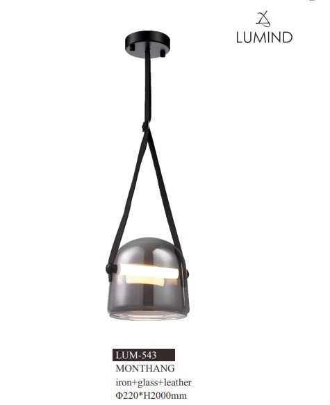 LAMPARA COLGANTE DECORATIVA 4000K 110-240 V 20 X 20 CM MOD.SMOKY GLASS REF.LUM-543 MARCA LUMIND