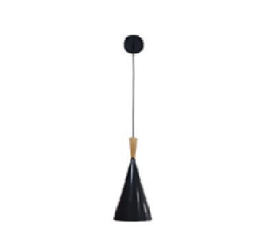 LAMPARA COLGANTE 60W E27 18,5 X 37 CM EINAR COLOR NEGRO - MADERA REF. 00108004 MARCA PIERROT