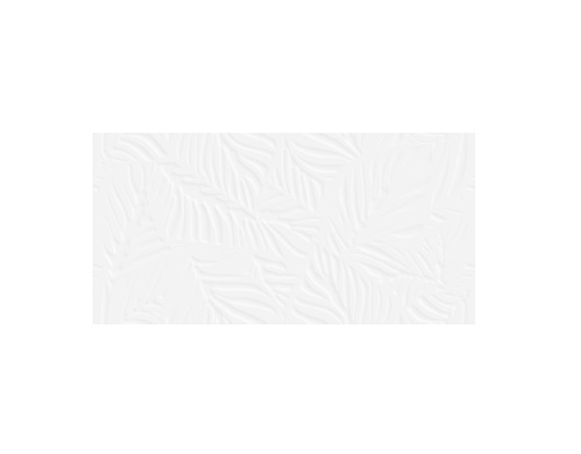 PORCELANATO ESPAÑOL DE 1ERA 120 X 60 CM ( CAJA 1,44 MTS2) BLANCO SAVAGE MARCA ARGENTA ( PRECIO POR CAJA )