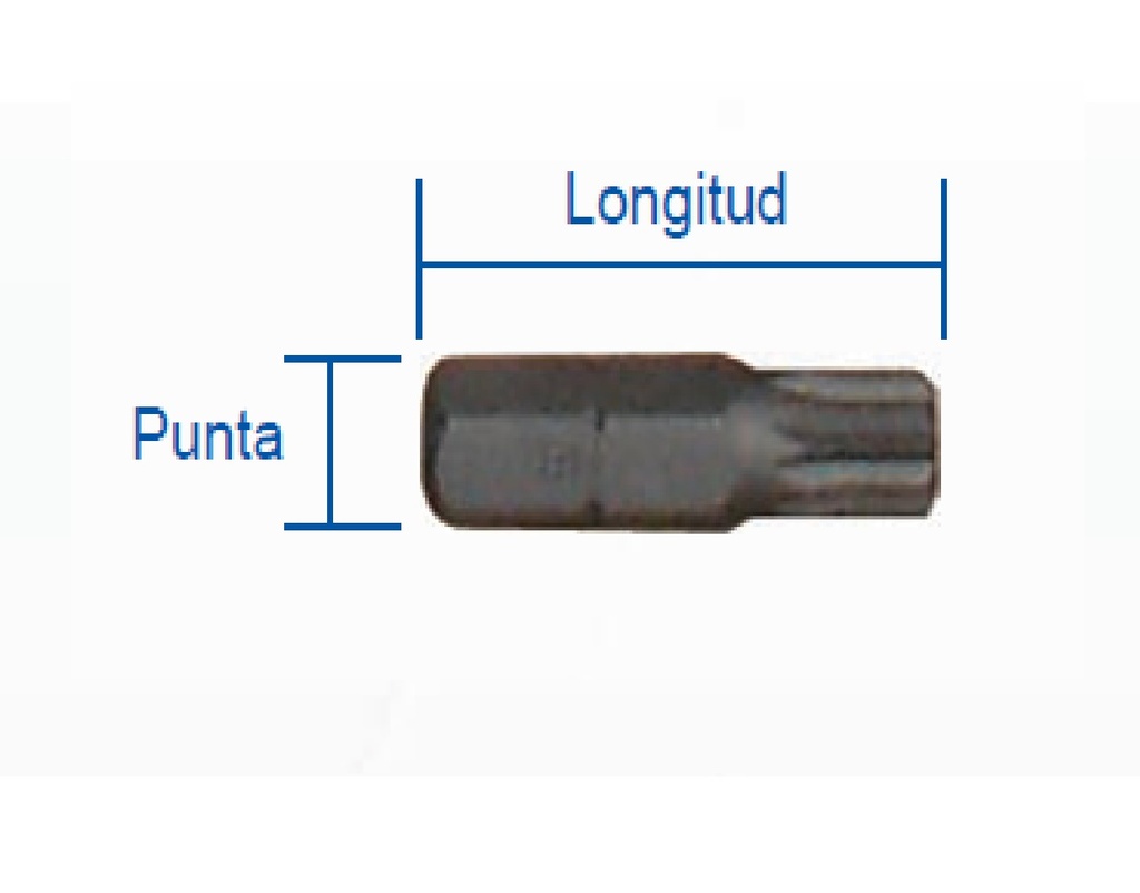 PUNTA SPLINE 12 PUNTAS 5/16" X 30 MM REF. SL-12 MARCA EGB