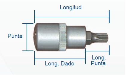 PUNTA SPLINE 12 PUNTAS 1/2" X 55 MM X 38 MM X 17 MM REF. TM-10 MARCA EGB