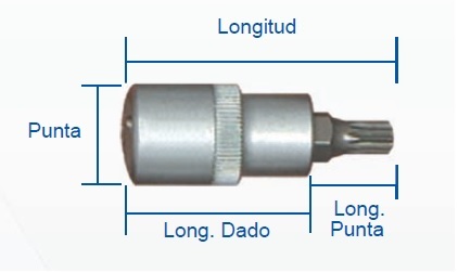 PUNTA SPLINE 12 PUNTAS 1/2" X 55 MM X 38 MM X 17 MM REF. TM-6 MARCA EGB