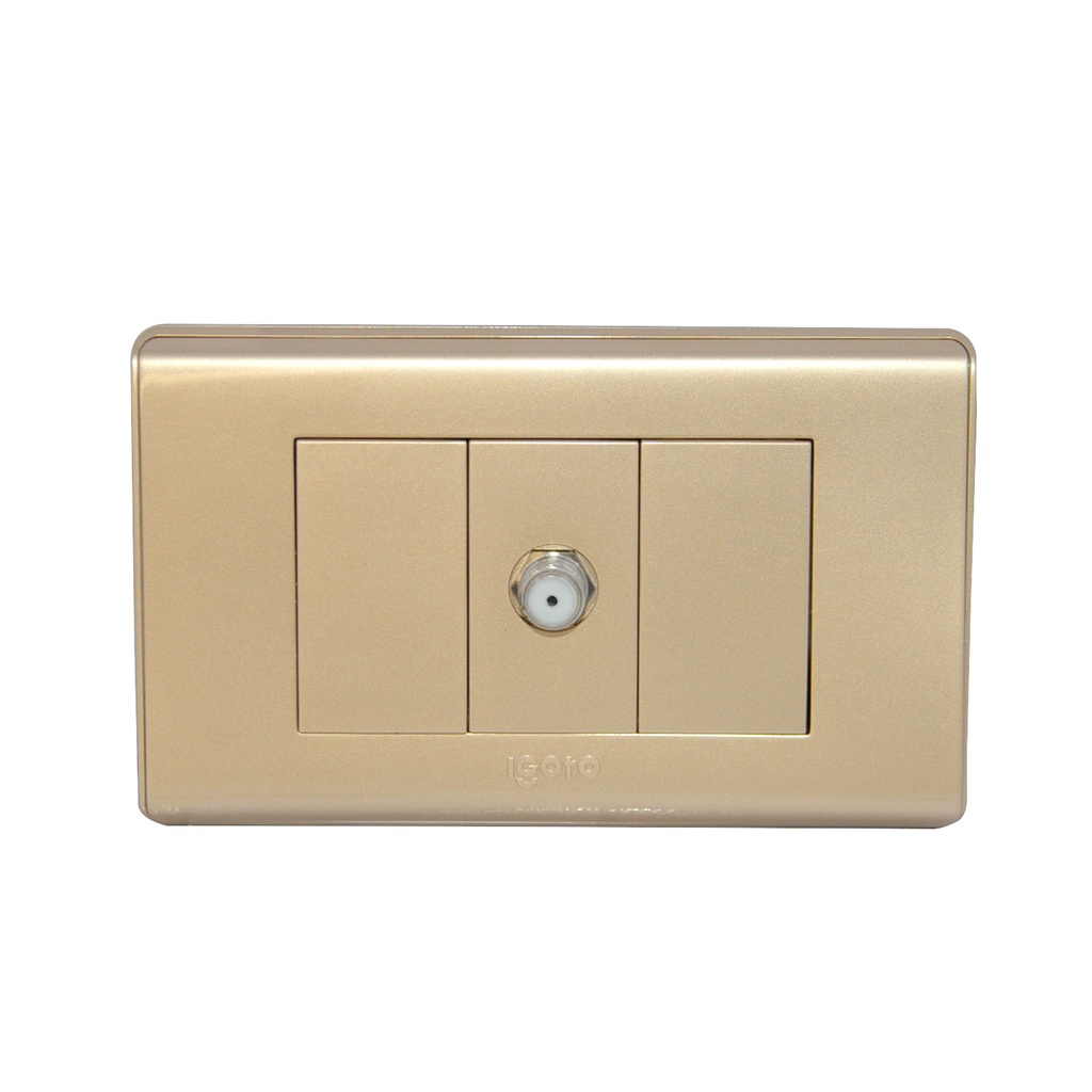 TOMA PARA TV COLOR DORADO REF. A2071S-G MARCA IGOTO