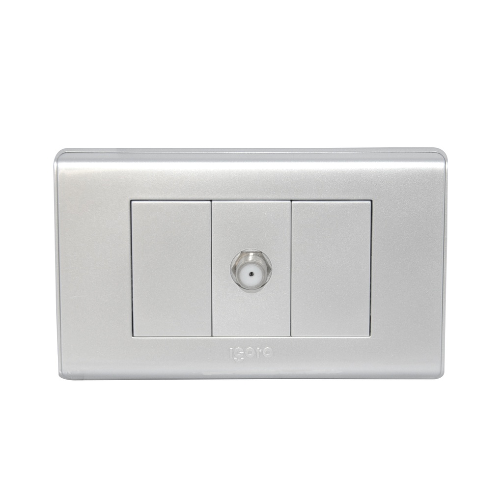 TOMA PARA TV. COLOR PLATA REF. A2071S-S MARCA IGOTO