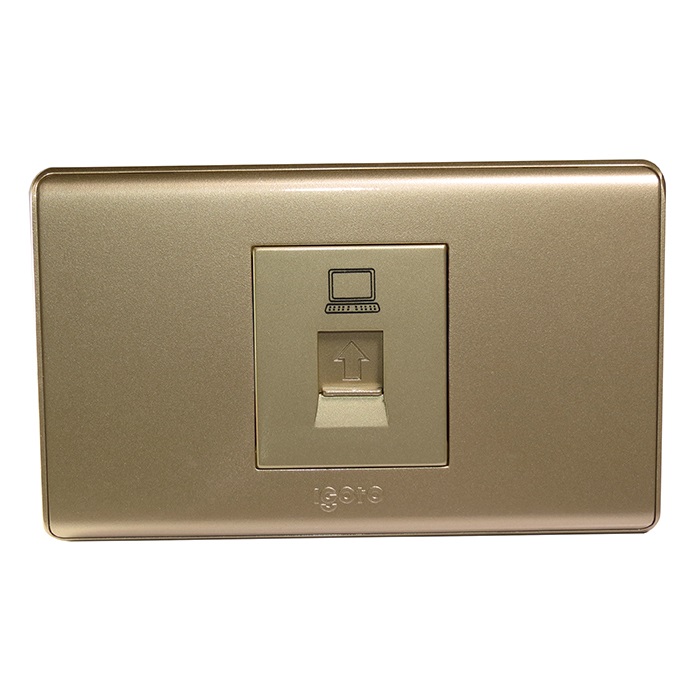 TOMA PARA RED/PC COLOR DORADO REF. A2073-G MARCA IGOTO