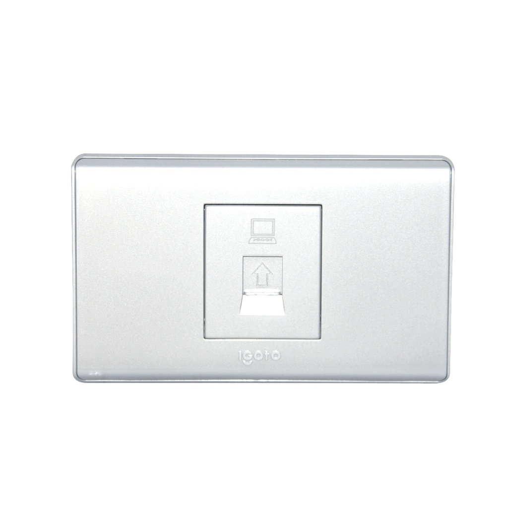 TOMA PARA RED/PC COLOR PLATA REF. A2073-S MARCA IGOTO