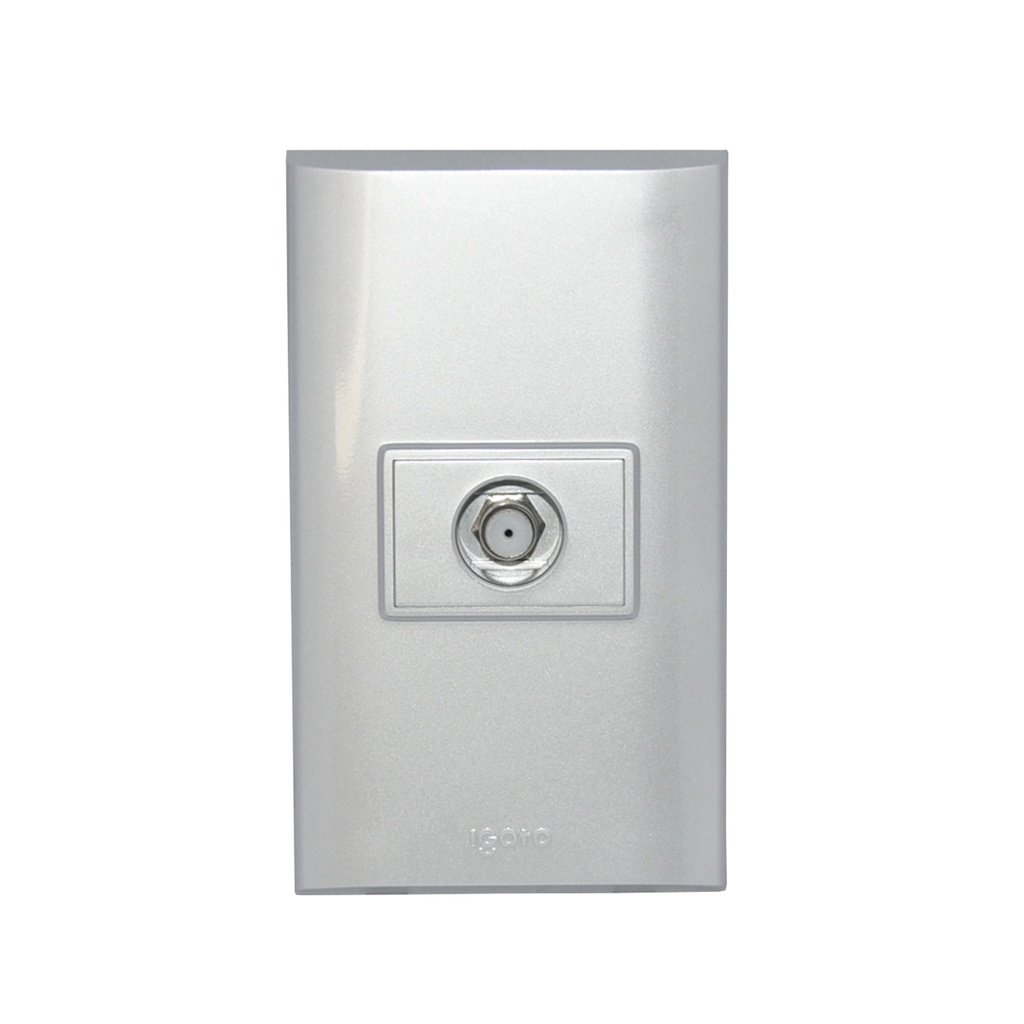 TOMA PARA TV. COLOR PLATEADO REF. B302-S MARCA IGOTO