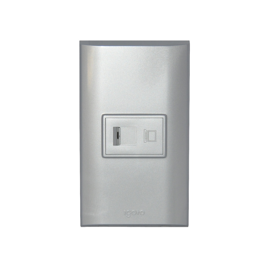 TOMA PARA RED/PC COLOR PLATEADO REF. B408-S MARCA IGOTO