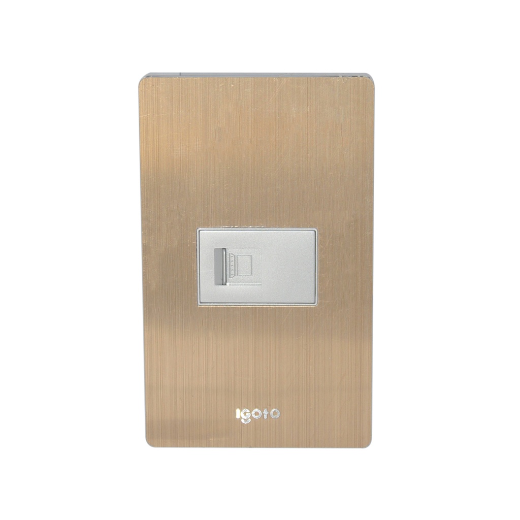 TOMA PARA PC COLOR BRONCE REF. X408 MARCA IGOTO