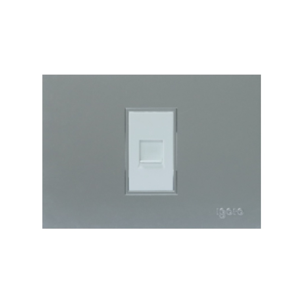 TOMA PARA PC COLOR PLATEADO REF. Z408-S MARCA IGOTO