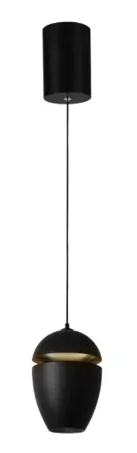 [LAM-KAS-DI-263-BK-30K-Z] LAMPARA COLGANTE 12W 3000K 110-240 V 14X10 CM C/ NEGRO REF. DI-263-BK-30K-Z MARCA KASALIGHT
