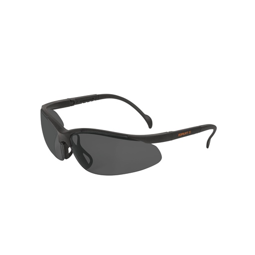 [LEN-TRU-14302] LENTES DE SEGURIDAD AJUSTABLES OSCUROS MOD. LEDE-SN REF. 14302 MARCA TRUPER