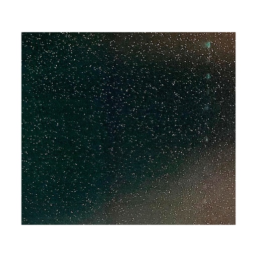 [POR-OVE-1001027SI] PORCELANATO 1ERA PULIDO 60CM X 60CM (CAJ 1.44 MT2) SALT AND PEPER BLACK PEI 3 MARCA OVERLAND