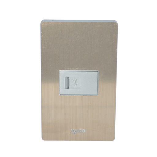 [TOM-IGO-X402] TOMA PARA TELEFONO COLOR BRONCE REF. X402 MARCA IGOTO