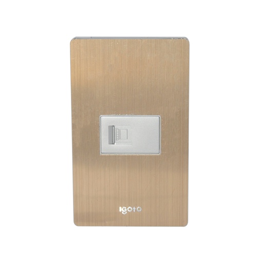 [TOM-IGO-X408] TOMA PARA PC COLOR BRONCE REF. X408 MARCA IGOTO