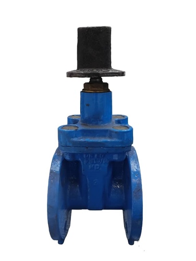 [VAL-FIM-VSI0150050] VALVULA TIPO COMPUERTA DE 2" VASTAGO FIJO F-4 PN10/16 (INCLUYE EMPACADURA Y PERNO) REF. VSI0150050